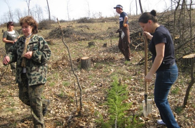 Българи и сърби ще залесяват парк “Кадъ боаз”