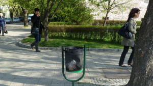 Мачкат и палят новите кошчета за смет в Ямбол