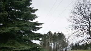 Жълт код заради ниски температури