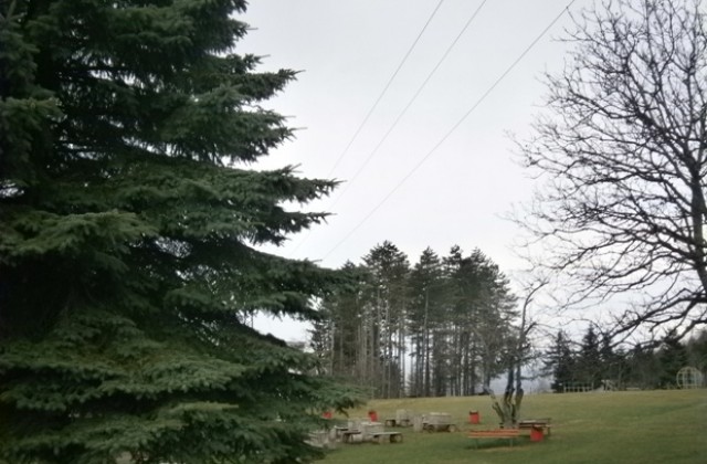 Жълт код заради ниски температури