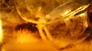 На борда на МКС проучват възможностите за производство на уиски