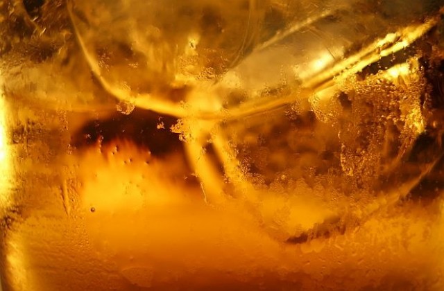 На борда на МКС проучват възможностите за производство на уиски в космоса