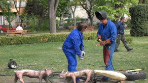 Лисичките пак радват децата на Видин