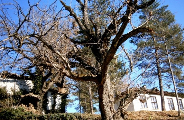 До обяд - слънце, по-късно - облаци