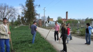 50 дръвчета посадиха в сБърдарски геран