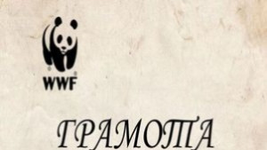 Димитровград с грамота за Часът на Земята