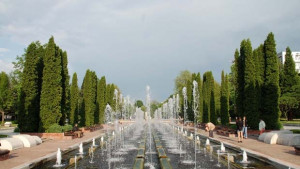 Уроци по екошофиране ще организира община Монтана