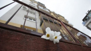 Правнучката на Яворов си отиде на Великден