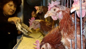 България е сред страните в риск да разгневят ЕС заради