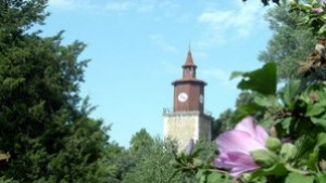 Радославови дни в Свищов