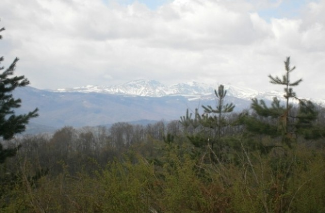 Дъждовен ден