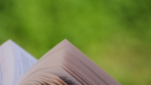 Кукли на приказни герои за деня на книгата в Обзор