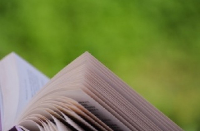 Кукли на приказни герои за деня на книгата в Обзор