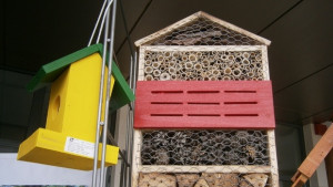 Хотели за насекоми на екобазара в Габрово