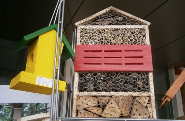 Хотели за насекоми на екобазара в Габрово