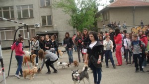 ПМГ Гео Милев организира киноложка изложба за любимците на своите