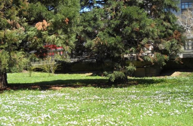 Дъжд и гръмотевици