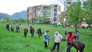 10 вида дървета ще красят края на Враца