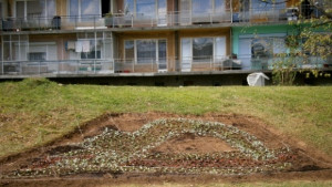 Голямото общоградско почистване на Габрово започна