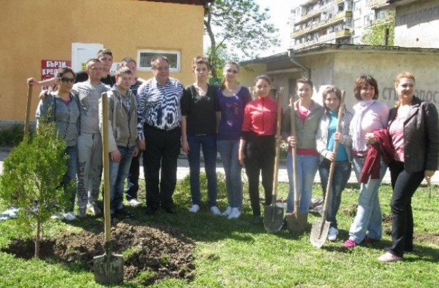 Красимир Костов се включи в инициативата“Да засадим дърво“