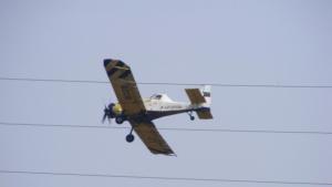 В Силистра започва акция срещу комарите