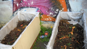 Калифорнийски червеи хит във варненско училище