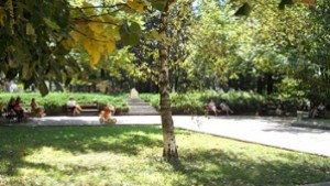 В общината работят паметникът на ген Колев да е готов