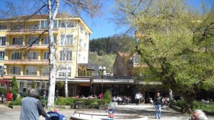 Кулинарен конкурс Да се храним здравословно с витамини от природата