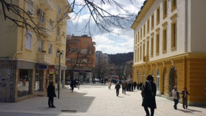 Звено в общинска администрация да се занимава с поддържането на