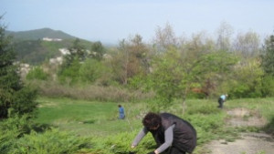 И служители на Държавен архив се включиха в почистването на