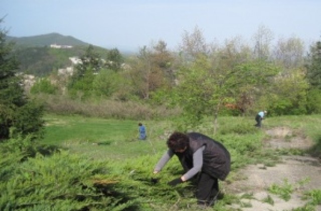 И служители на Държавен архив се включиха в почистването на Габрово