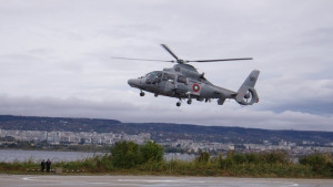 Показват на Аню Ангелов какво могат Пантерите