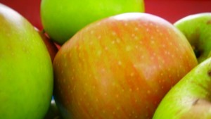 Не са засечени нитратни салати в Габровско