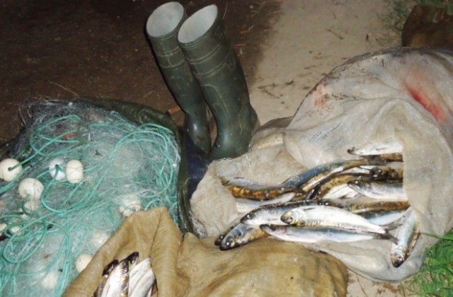 Конфискуваха 80 кг риба и 150 метра мрежи край Тутракан