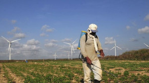 Вятърните паркове могат да предизвикат промени в климата
