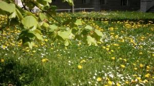 Пак отчетоха температурни рекорди