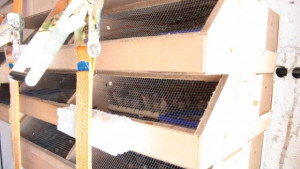 Няма нарушения на Закона за биологичното разнообразие по случая с