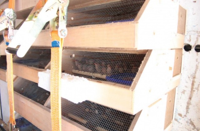 Няма нарушения на Закона за биологичното разнообразие по случая с пойните птици