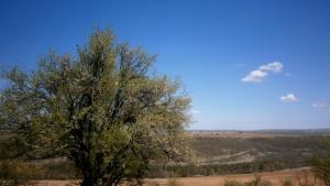 Слънчево но на места с валежи