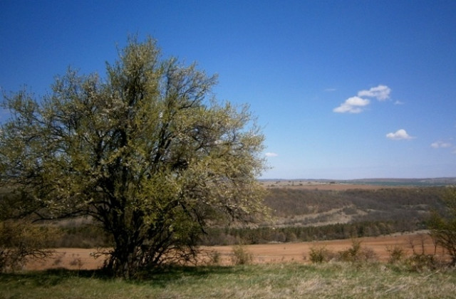 Слънчево, но на места с валежи