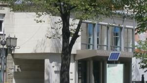 Миграцията на паламуда в Габрово