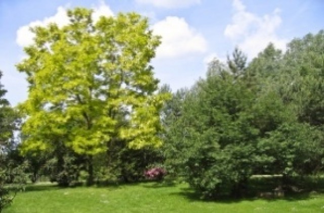 Барбекюта на Лаута