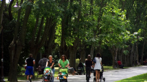 Бум на ухапаните от кърлежи