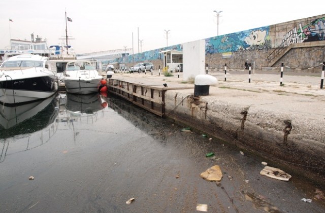 Цялата екоинспекция на крак да чисти в събота