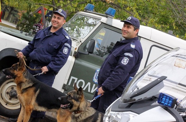 Столични полицаи откриха 490 000 къса контрабандни цигари