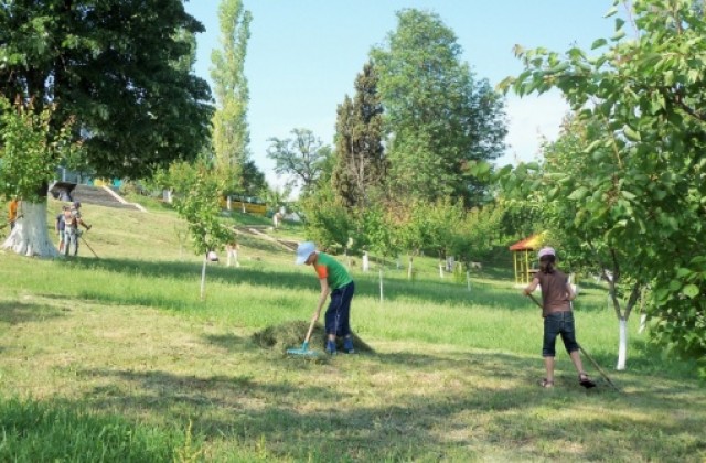 16 000 доброволци в Силистренско чистиха днес