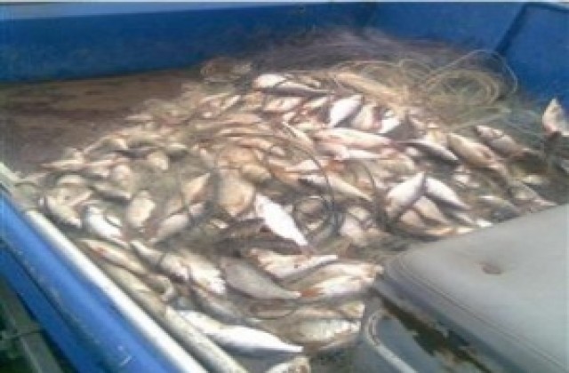 Санкционираха 14 любители рибари, не спазвали забраната