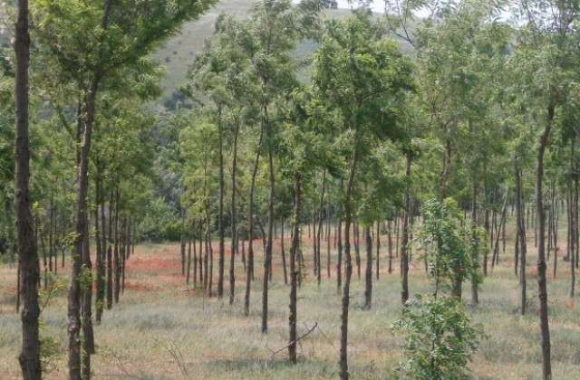 В ОУ А.Константинов отбелязват деня на биологичното разнообразие