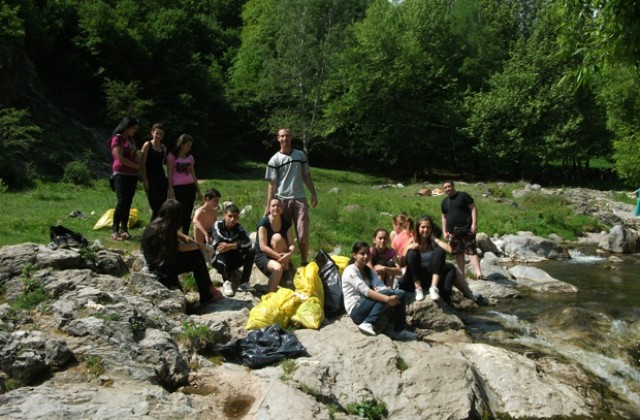 Цвете и помощ за лежащо болни