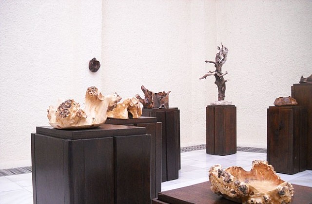 Димитър Костадинов показва дървени пластики в изложба Магията на дървото